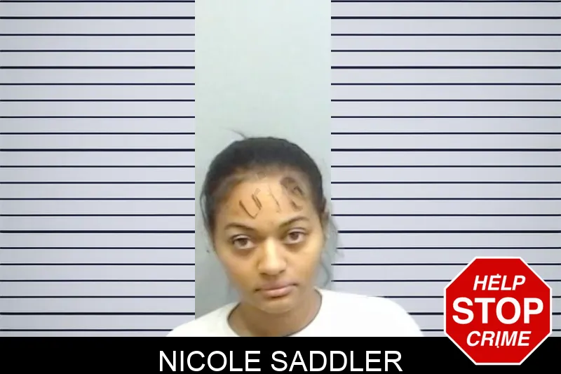 Nicole Saddler mugshot – Fulton County , Georgia Nicole Saddler mugshot