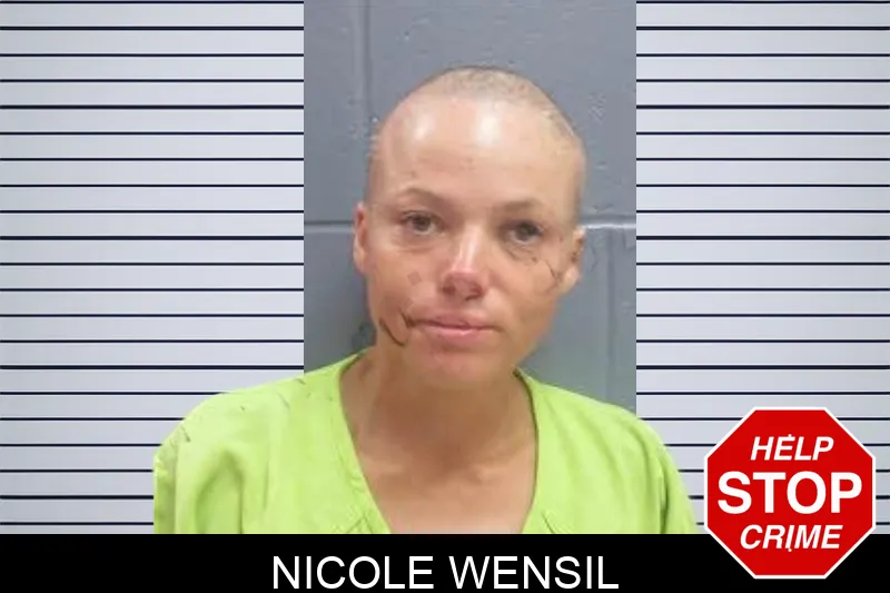 Nicole Wensil mugshot