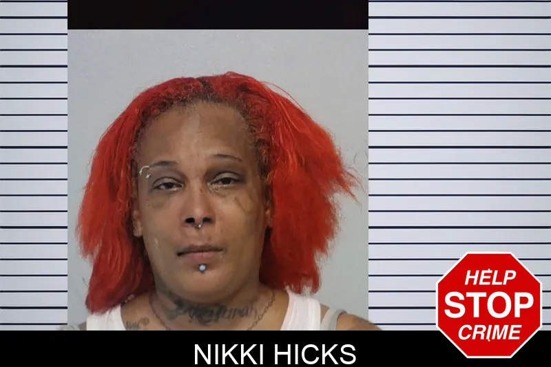 Nikki Hicks mugshot