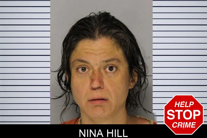 Nina Hill mugshot