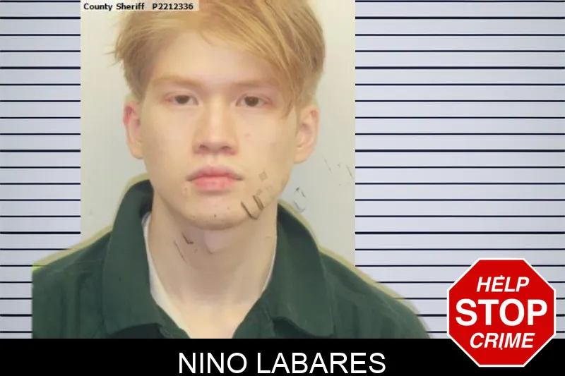 Nino Labares mugshot