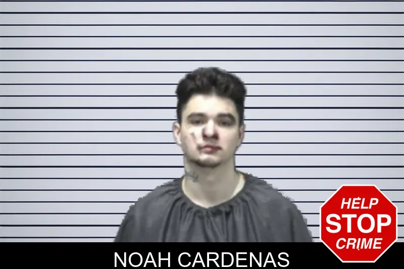Noah Cardenas mugshot