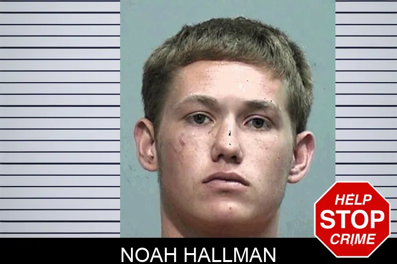 Noah Hallman mugshot