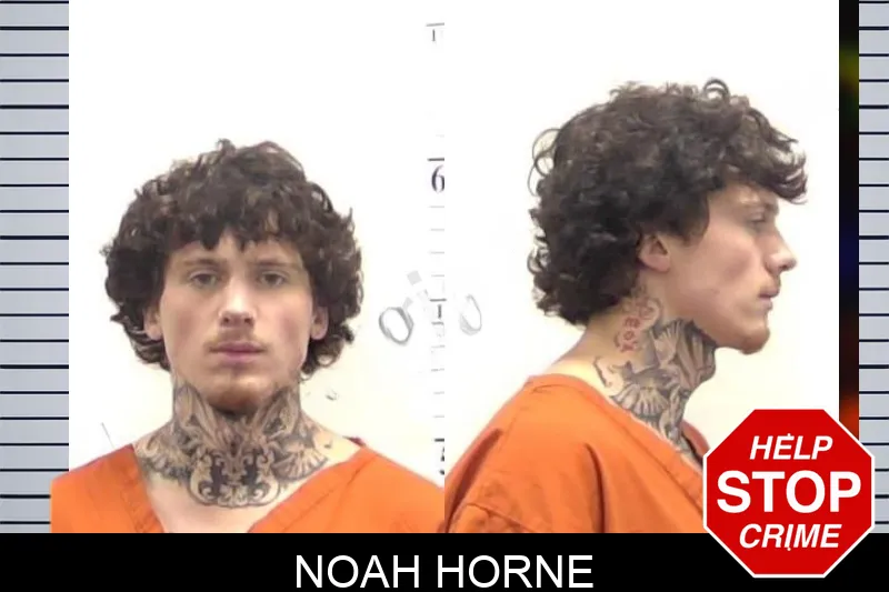 Noah Horne mugshot