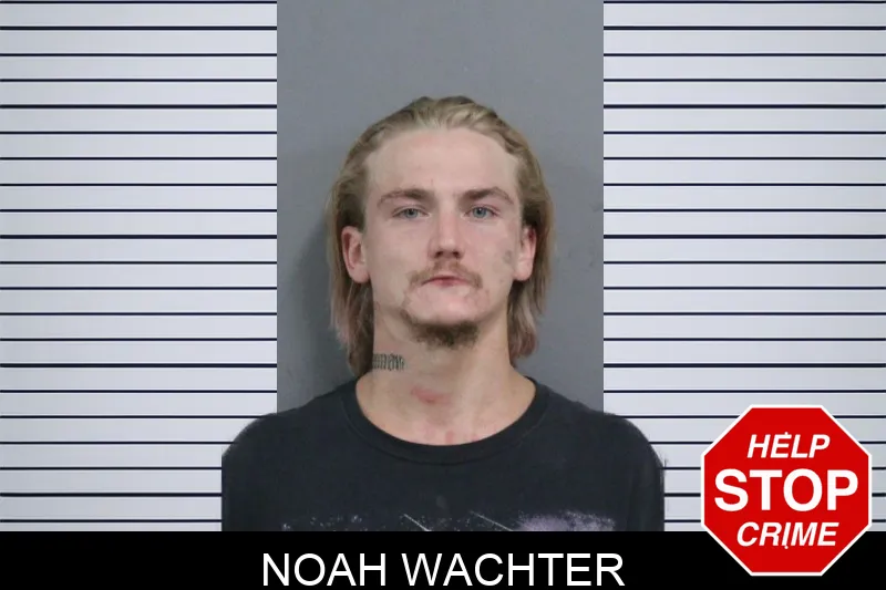 Noah Wachter mugshot