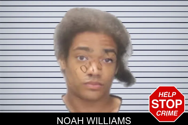 Noah Williams mugshot