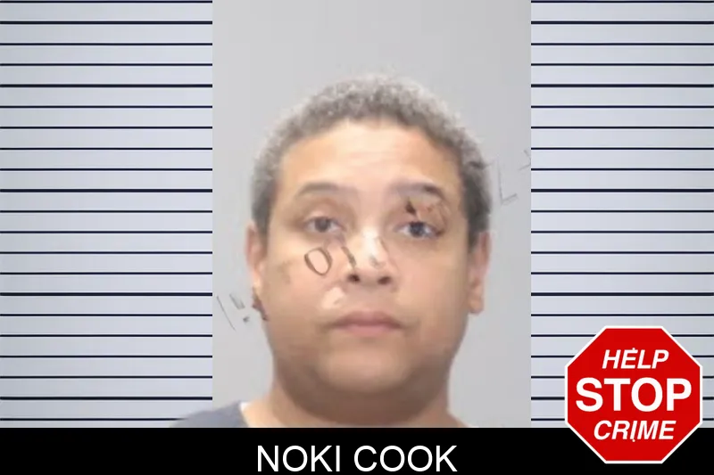 Noki Cook mugshot