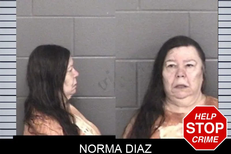 Norma Diaz mugshot