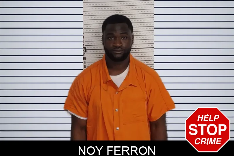 Noy Ferron mugshot – Rockdale County , Georgia Noy Ferron mugshot