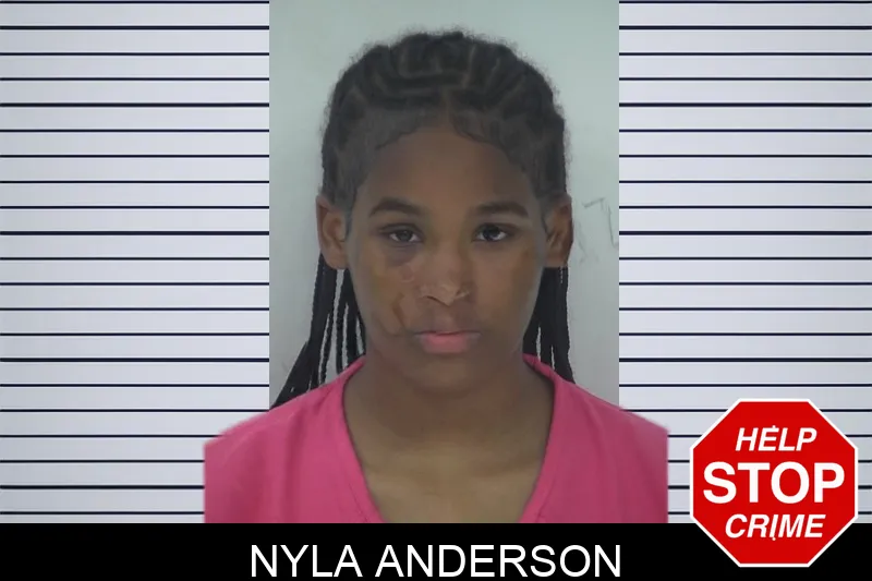 Nyla Anderson mugshot – Fayette County , Georgia Nyla Anderson mugshot