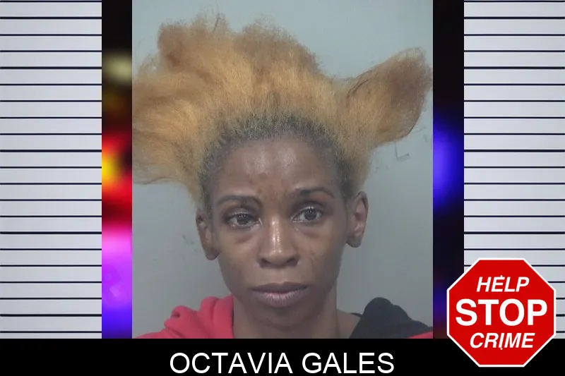 Octavia Gales mugshot – Gwinnett County , Georgia Octavia Gales mugshot