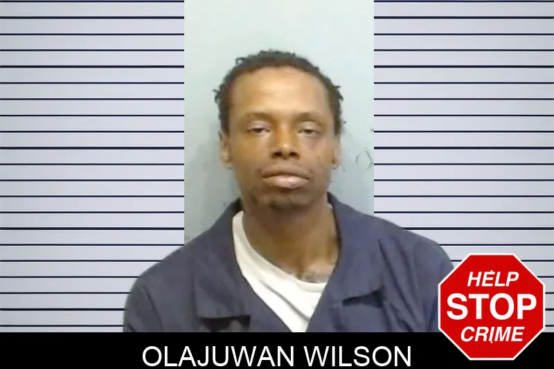 Olajuwan Wilson mugshot