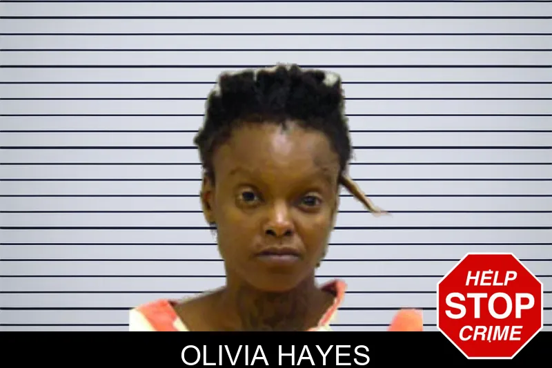 Olivia Hayes mugshot – Bartow County , Georgia Olivia Hayes mugshot