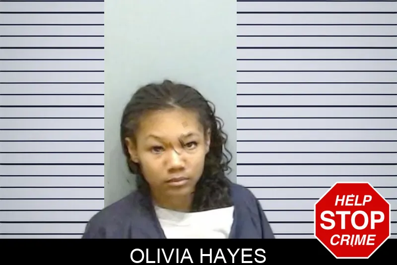 Olivia Hayes mugshot