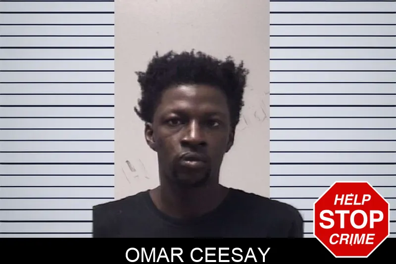 Omar Ceesay mugshot