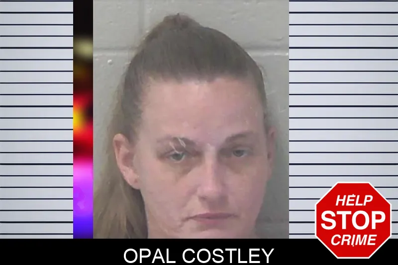 Opal Costley mugshot