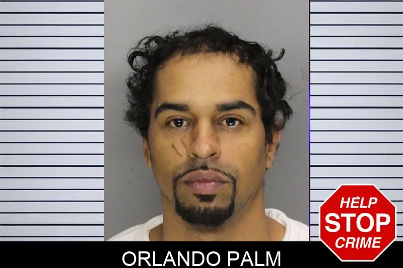 Orlando Palm mugshot