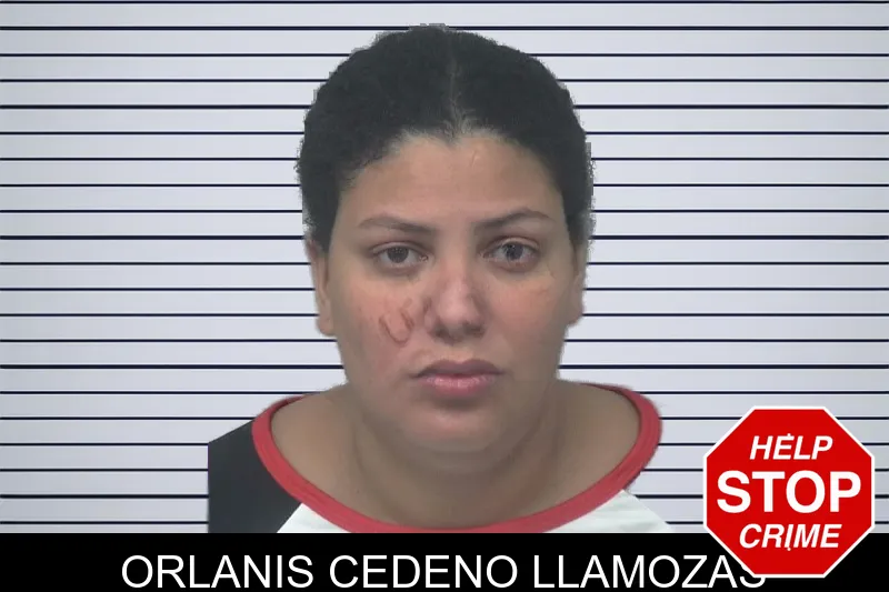Orlanis Cedeno Llamozas mugshot