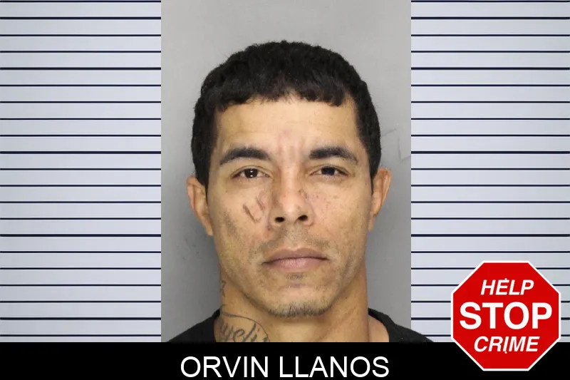 Orvin Llanos mugshot
