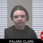 Palara Clark mugshot – Coweta County , Georgia Palara Clark mugshot