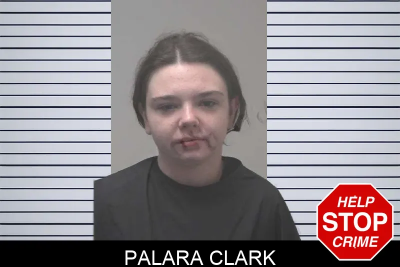 Palara Clark mugshot – Coweta County , Georgia Palara Clark mugshot