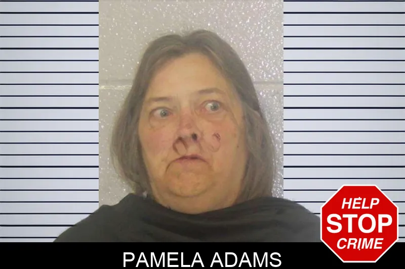 Pamela Adams mugshot