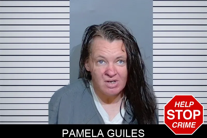 Pamela Guiles mugshot
