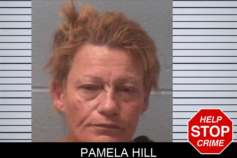 Pamela Hill mugshot