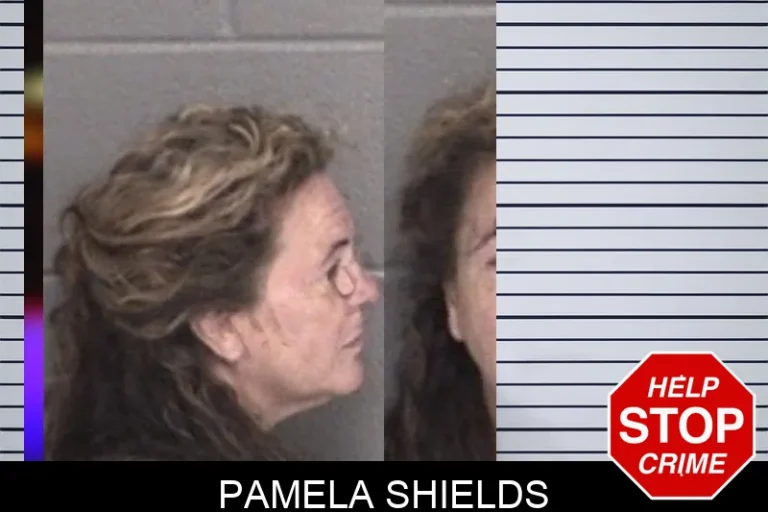 Pamela Shields mugshot – Barrow County , Georgia Pamela Shields