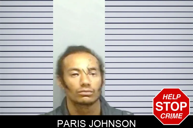 Paris Johnson mugshot – Fulton County , Georgia Paris Johnson mugshot