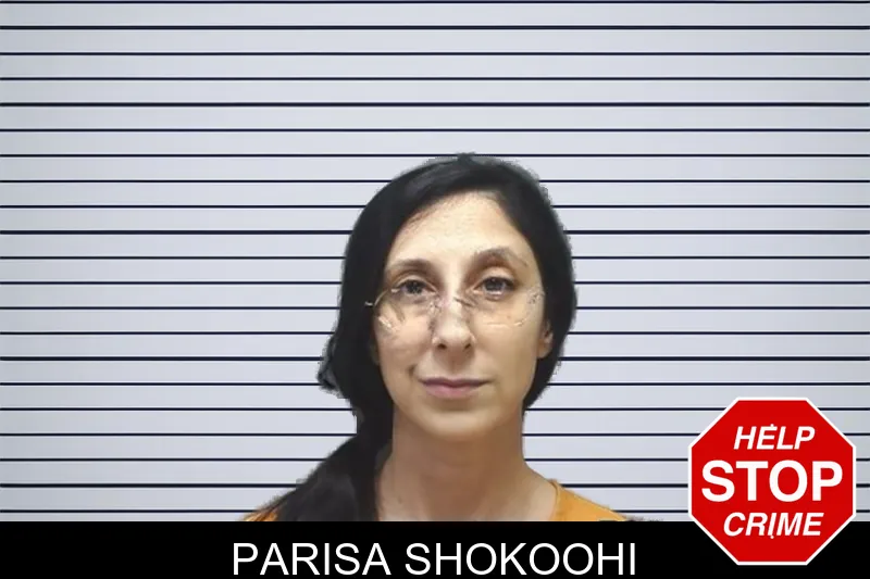 Parisa Shokoohi mugshot – Cherokee County , Georgia Parisa Shokoohi mugshot