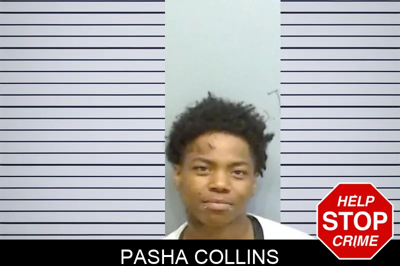 Pasha Collins mugshot – Fulton County , Georgia Pasha Collins mugshot