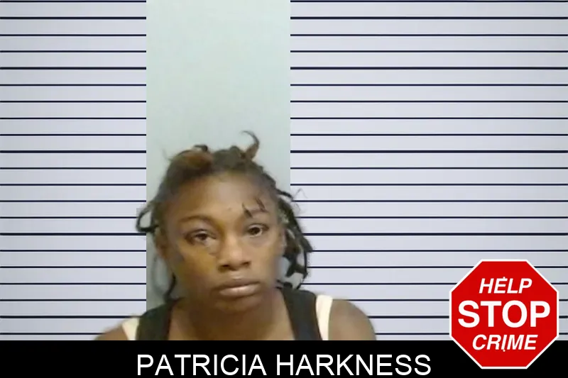 Patricia Harkness mugshot – Fulton County , Georgia Patricia Harkness mugshot