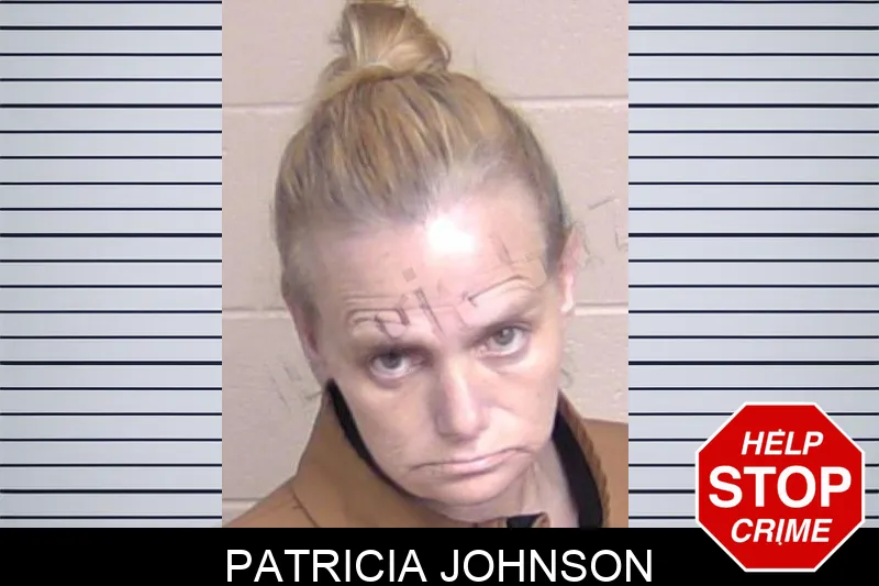 Patricia Johnson mugshot