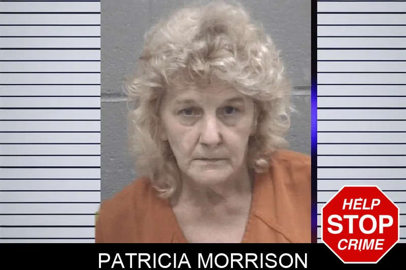 Patricia Morrison mugshot – Columbia County , Georgia Patricia Morrison mugshot