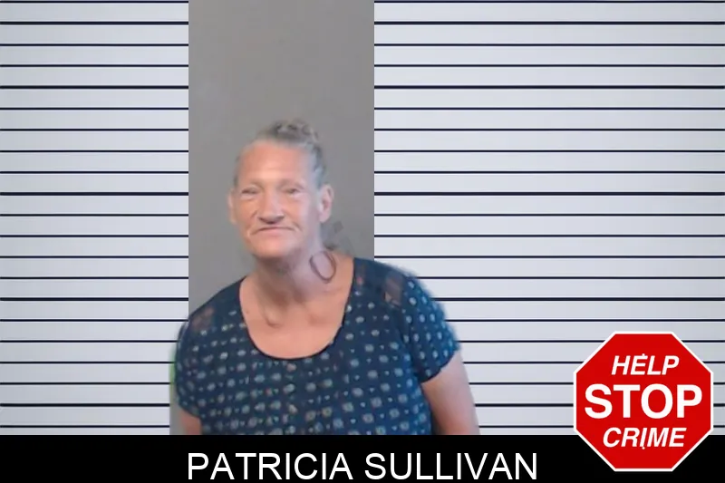 Patricia Sullivan mugshot – DeKalb County , Georgia Patricia Sullivan mugshot