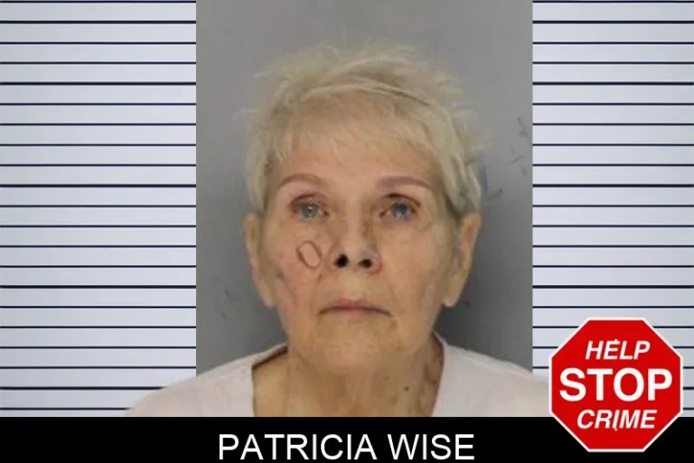 Patricia Wise mugshot – Hall County , Georgia Patricia Wise