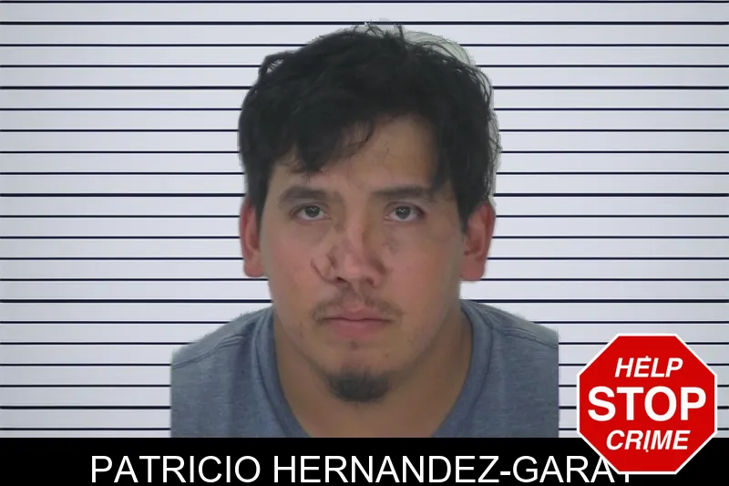 Patricio Hernandez-Garay mugshot – Fayette County , Georgia Patricio Hernandez-Garay mugshot