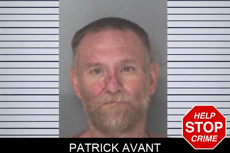 Patrick Avant mugshot