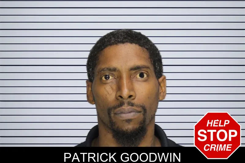 Patrick Goodwin mugshot