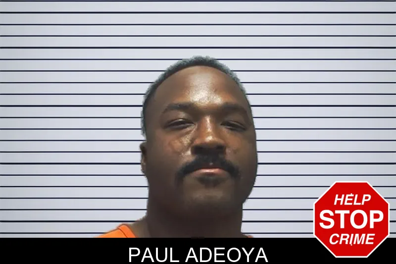 Paul Adeoya mugshot – Cherokee County , Georgia Paul Adeoya mugshot