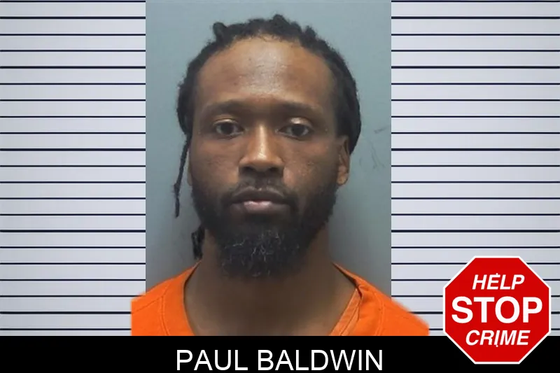 Paul Baldwin mugshot