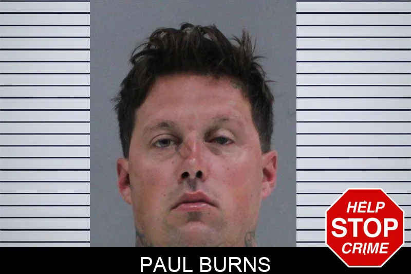 Paul Burns mugshot