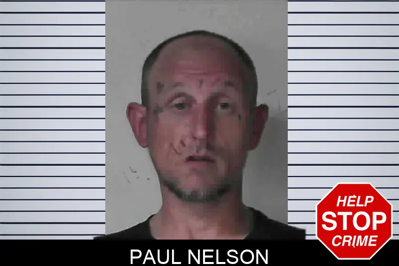 Paul Nelson mugshot