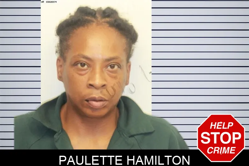 Paulette Hamilton mugshot – Chatham County , Georgia Paulette Hamilton mugshot