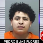 Pedro Elias Flores mugshot – Cherokee County , Georgia Pedro Elias Flores mugshot