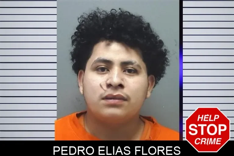 Pedro Elias Flores