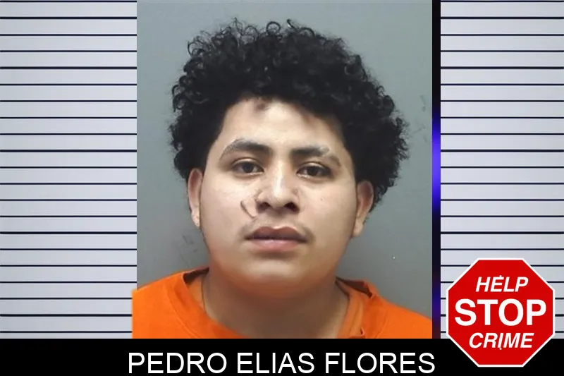 Pedro Elias Flores mugshot
