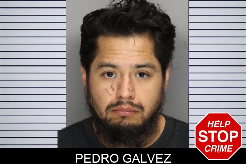 Pedro Galvez mugshot
