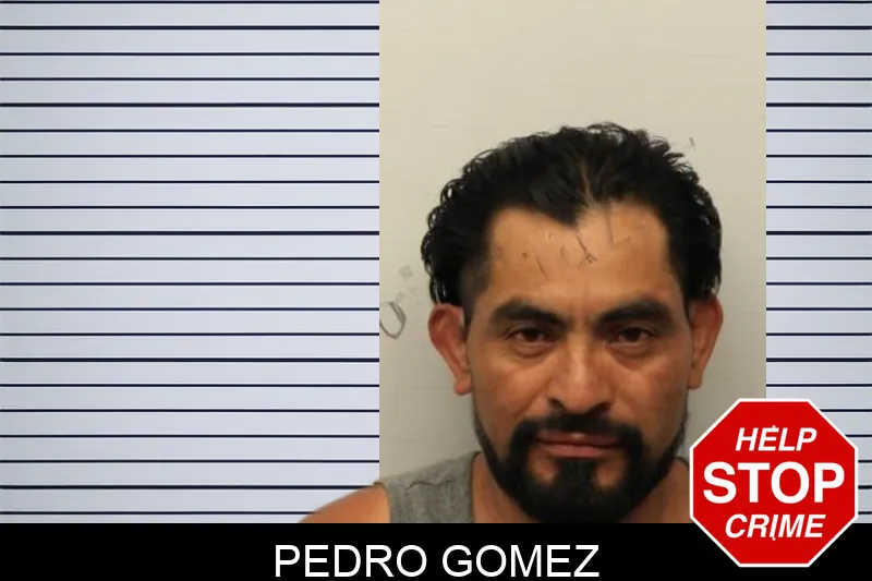 Pedro Gomez mugshot
